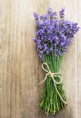 fresh lavender flowers