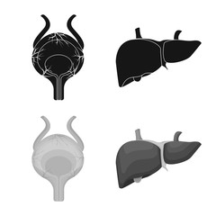 Isolated object of body and human icon. Set of body and medical vector icon for stock.