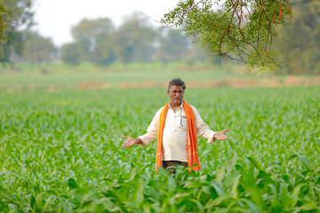 Indian farmer at green corn field