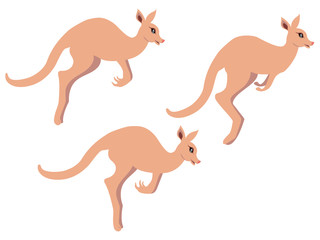 Cartoon kangaroo design