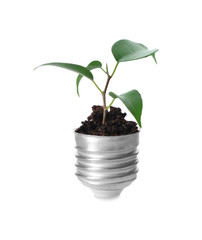 Green plant growing in light bulb cap on white background. Ecology concept
