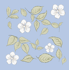 Set of sakura flowers elements. Collection of spring flowers on a blue background. Vector illustration bundle.