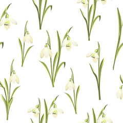 Fototapeta na wymiar Spring seamless pattern of Galanthus flowers. Spring bouquet of snowdrops. Vector botanical illustration.