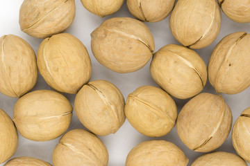 Walnuts isolated on white background
