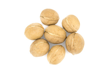 Walnuts isolated on white background