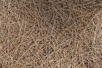 full frame image of a fallen twigs on ground with sunlight and shadows. concept of nature background