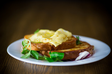 fried croutons in eggs with fried egg in a plate