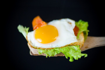 fresh sandwich with lettuce leaves and fried egg with hot toasts