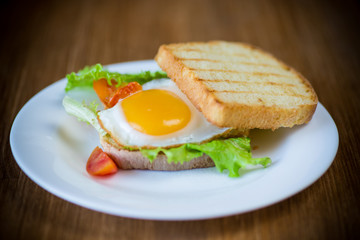 fresh sandwich with lettuce leaves and fried egg with hot toasts