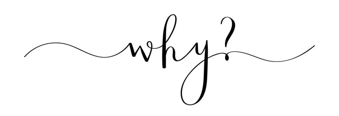 WHY? brush calligraphy banner