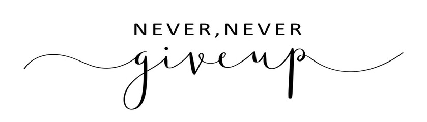 NEVER, NEVER GIVE UP brush calligraphy banner