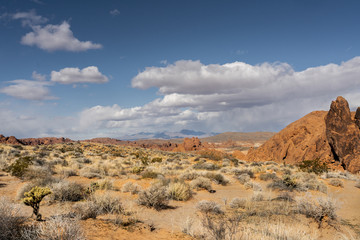 Fototapeta premium fire state park