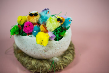 funny chicks on colorful eggs in basket