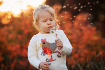 Small girl blowing dandelion flower in the autumn park. Blurred background in sunset. Child with blowball in outdoor. - Image