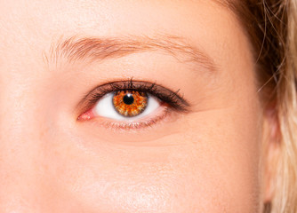 A beautiful insightful look woman's eye. Woman wearing glasses. Close-up shot