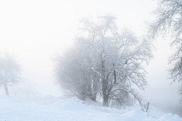Winternebel