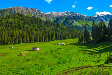 Karakol Gorge Kyrgyzstan 12