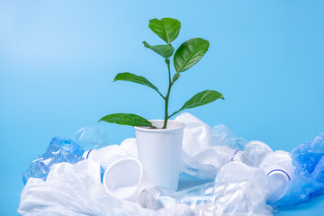 Green plant grows among plastic garbage. Bottles and bags on blue background. Environmental protection and waste sorting