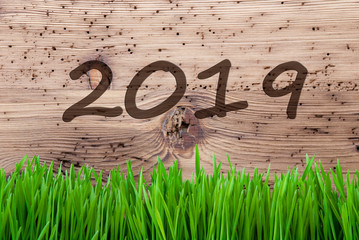 Bright Wooden Background, Grass, Text 2019, Spring Background