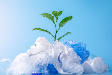 Plant grows among plastic garbage. Bottles and bags on blue background. Environmental protection...