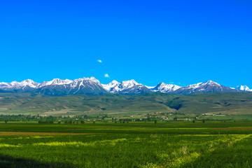 Karakol Gorge Kyrgyzstan 30