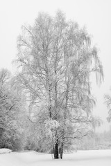 Fototapeta na wymiar Winter Tale in Izmailovo, Moscow