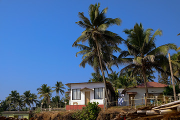 house on the beach under the palm trees in goa, india