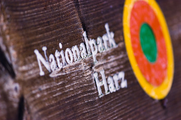 Bank im Nationalpark Harz