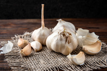 Garlic on dark wooden background.