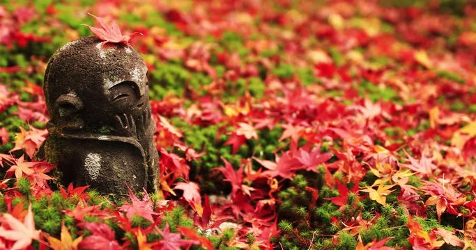 Red leaves on the top of statue at Enkouji temple in Sakyo district Kyoto