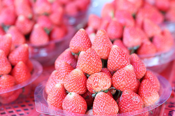 Strawberries for sale in the market