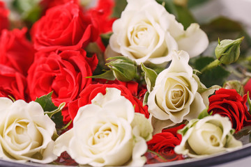 Bouquet of fresh red and white roses,