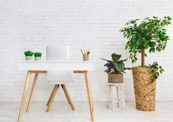 Workplace in scandinavian style. Table and various plants
