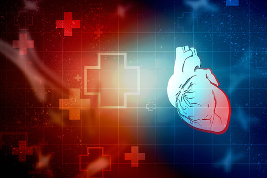 2d illustration  Anatomy of Human Heart 