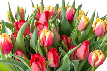 Colorful spring flowers, bouquet of tulips, background useful as mother's day card or women's day gift