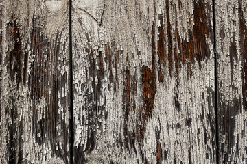 Closeup pattern of old oak wood wooden hardwood vintage table furniture