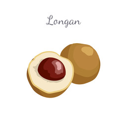 Longan exotic juicy fruit whole and cut. Plant related to litchi vector poster with frame and place for text. Tropical food, dieting vegetarian grocery