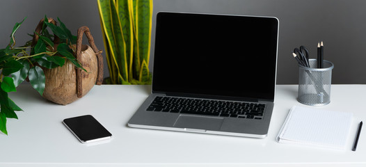 Home office with modern laptop and plants