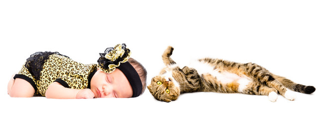 Cute  sleeping newborn girl and cat Scottish Fold isolated on white background