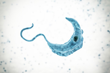 Trypanosoma brucei parasite, 3D illustration. A protozoan that is transmitted by tse-tse fly and causes African sleeping sickness