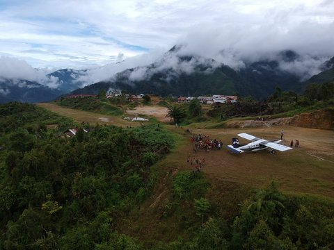 Pilatus porter in Papua