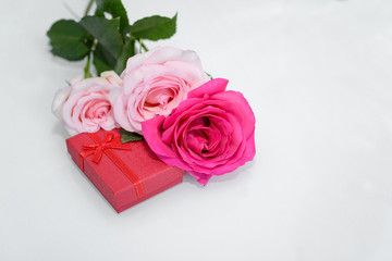 Three Roses and present box. - Valentines and 8 March Mother Women's Day concept.