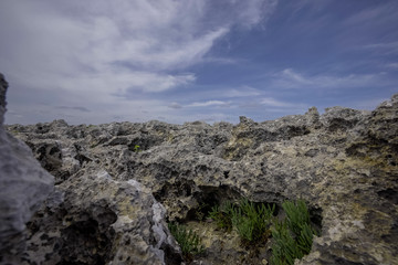 Fototapeta na wymiar great rock texture close up photography, blue sky background 
