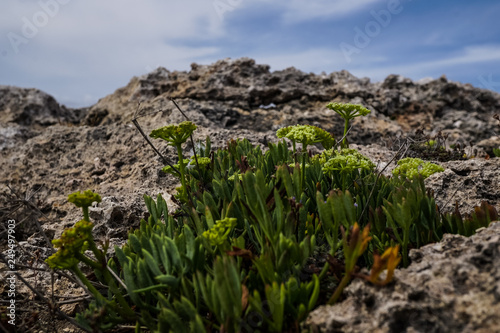 Great Rock Texture Close Up Photography Blue Sky Background