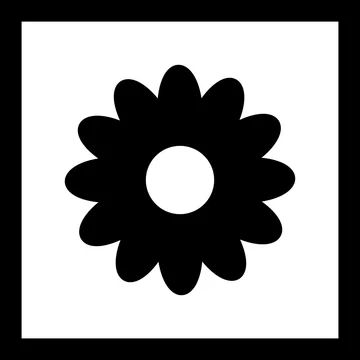 adobe stock