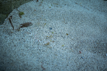close up shot of sand under water