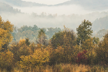 Fototapety  Mglisty jesienny krajobraz