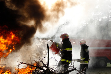 Extinguishing forest fire .Extinguishing the fire. Firemen are working. Fill the foam with a fire. Resolute firefighters. Fight fire.