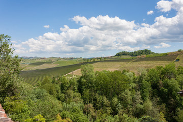Fototapeta na wymiar Aerial view of the vineyards of Barolo, Piedmont.