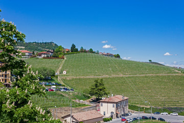 Aerial view of the vineyards of Barolo, Piedmont.